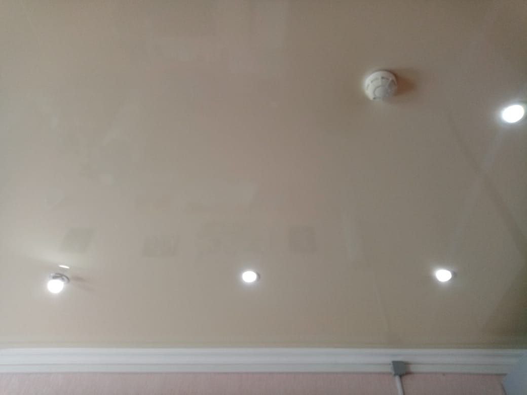 Псков, Рижский проспект, 7/31а, фото 3